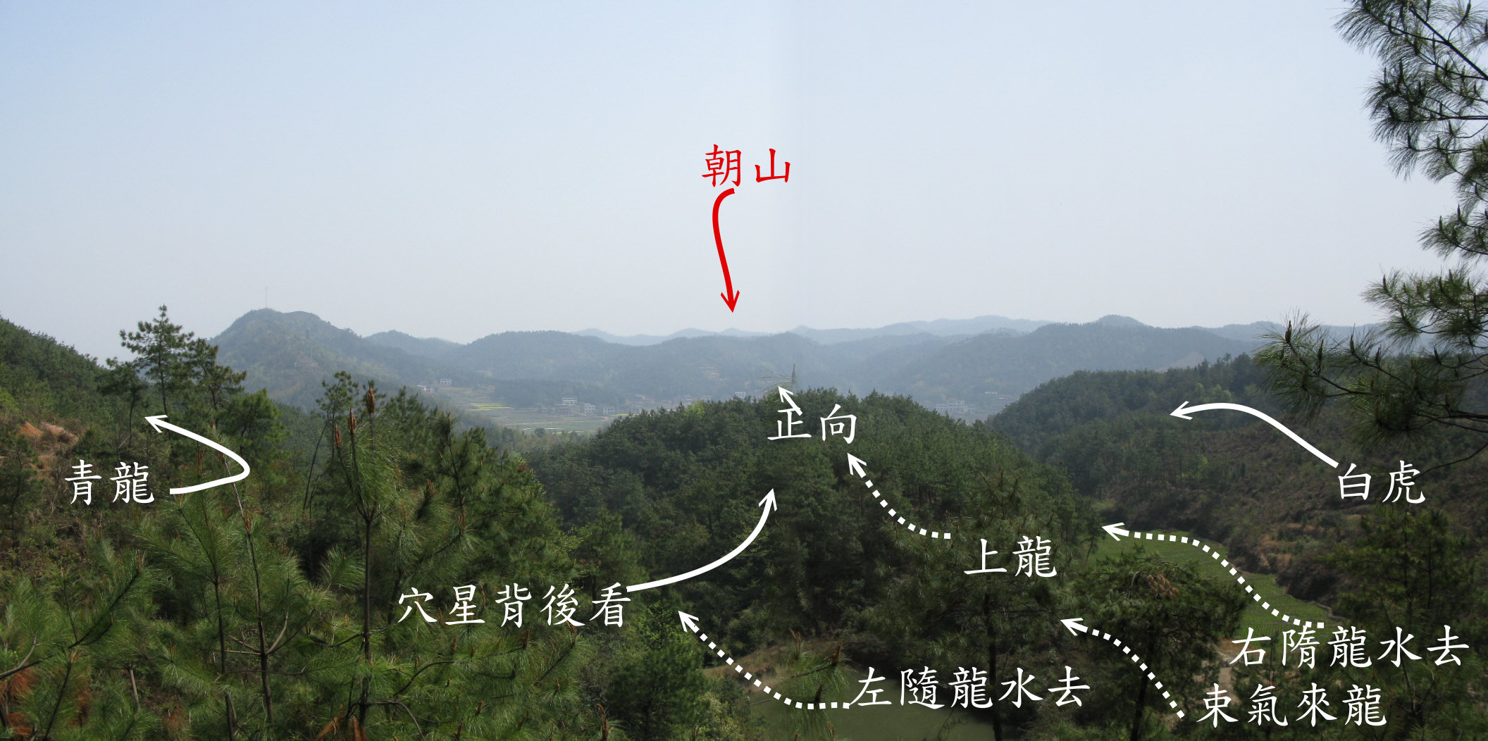 MERGE 6a.jpg